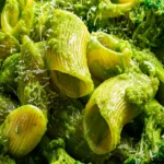 Smashed Broccoli Pasta First Image